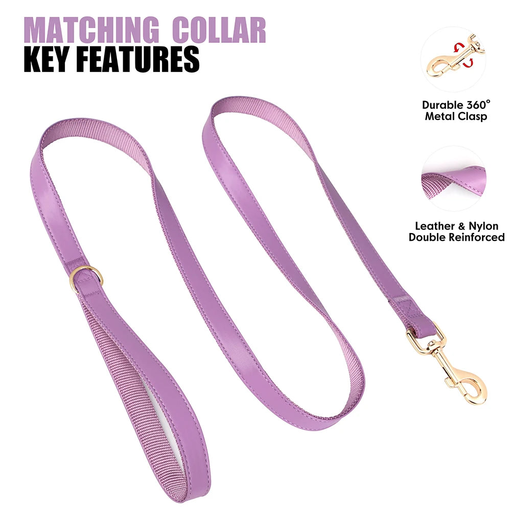 Collar VALLARTA con correa y dispensador de bolsas