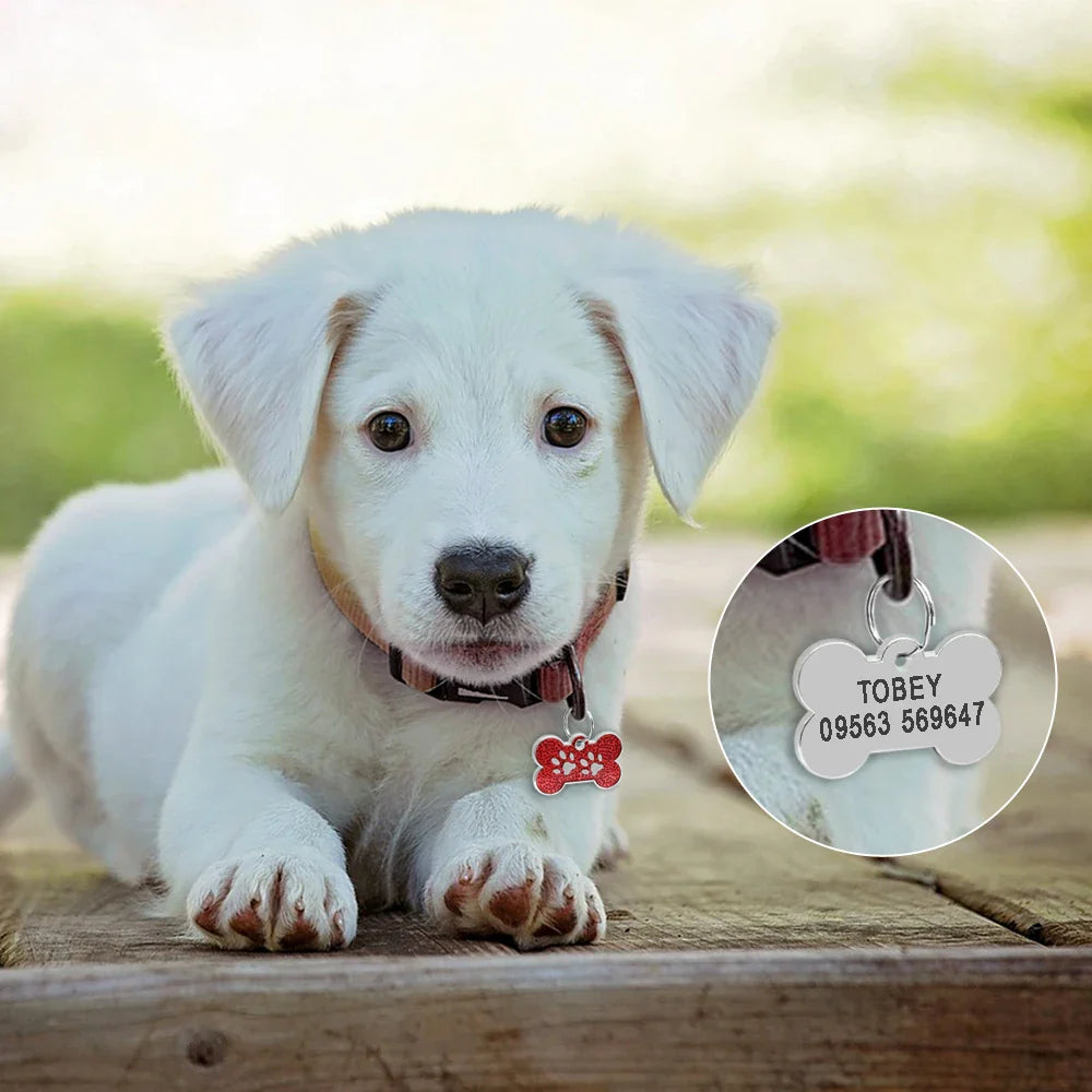 Placa de identificación