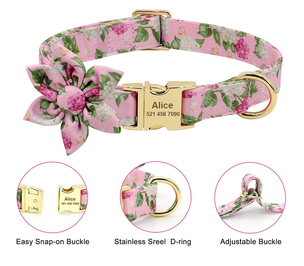 Conjunto JUAREZ personalizado : Collar, Correa y Arnés