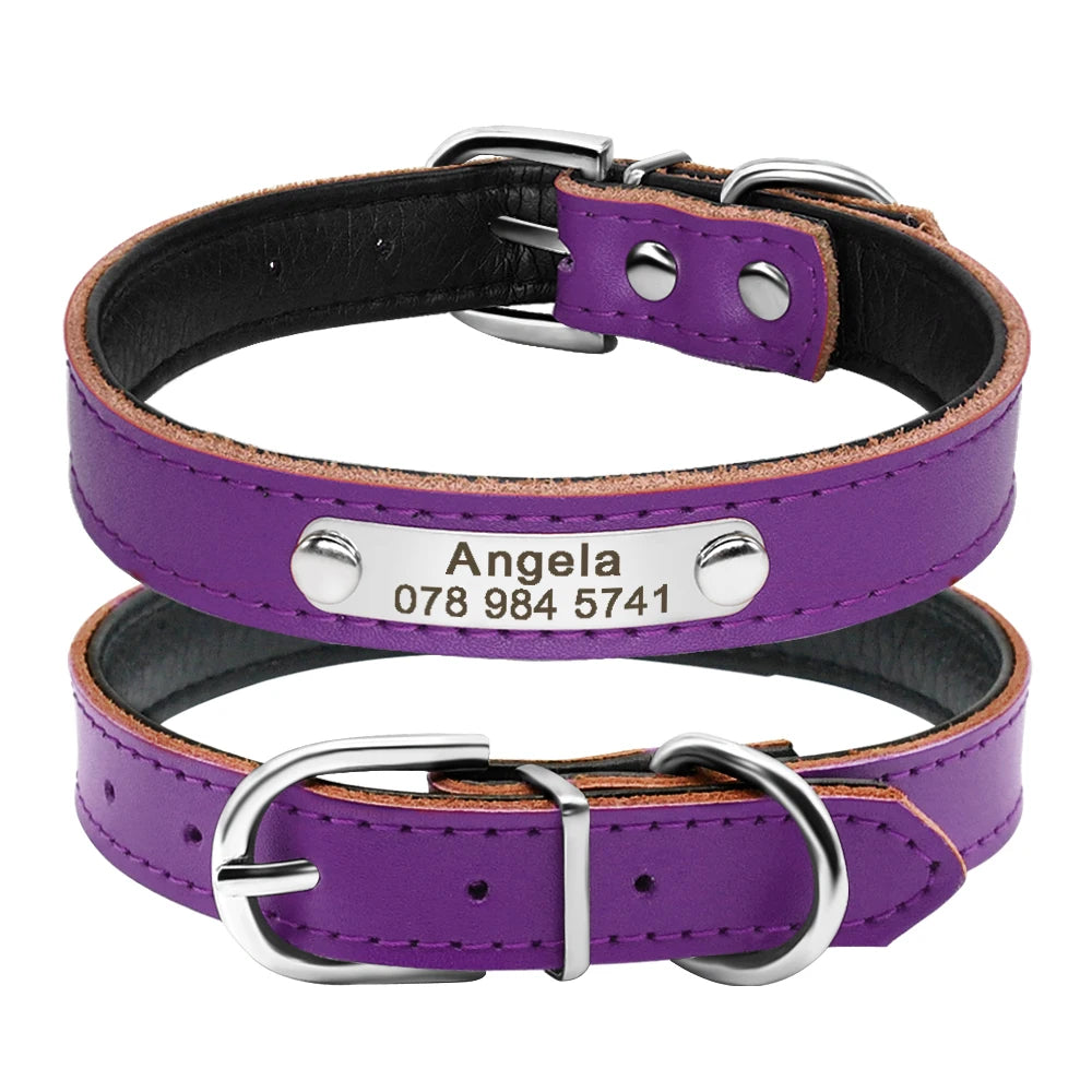 Collar MATAMOROS para gatos y perritos