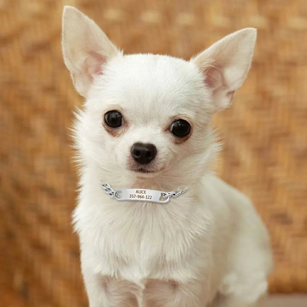 Collar HERMOSILLO para perros y gatos