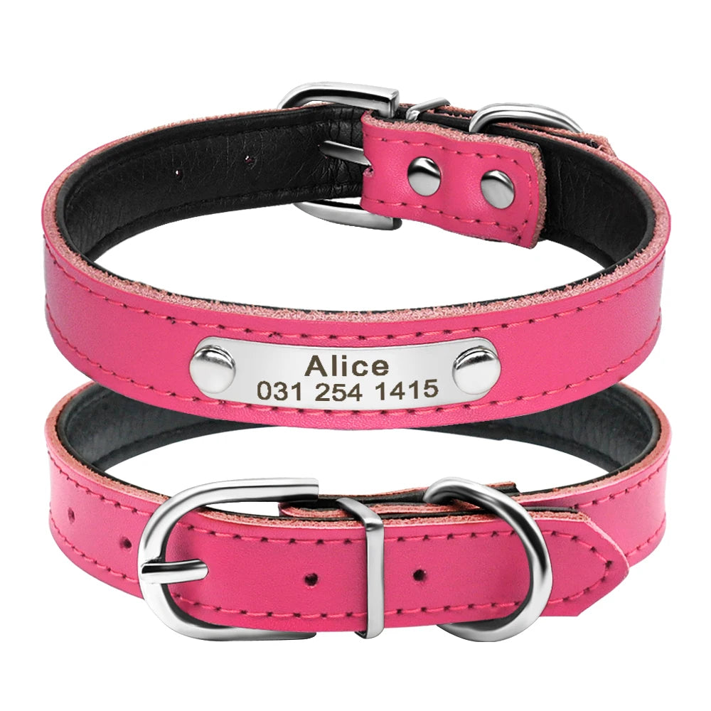 Collar MATAMOROS para gatos y perritos