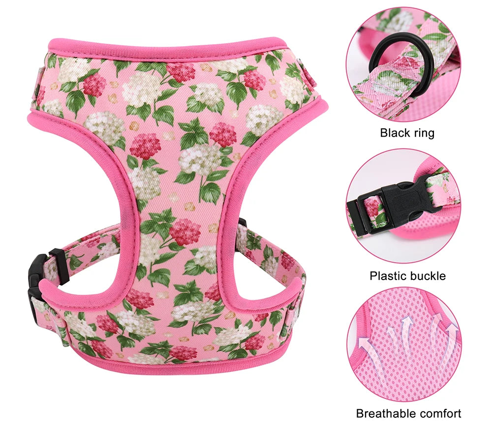 Conjunto JUAREZ personalizado : Collar, Correa y Arnés