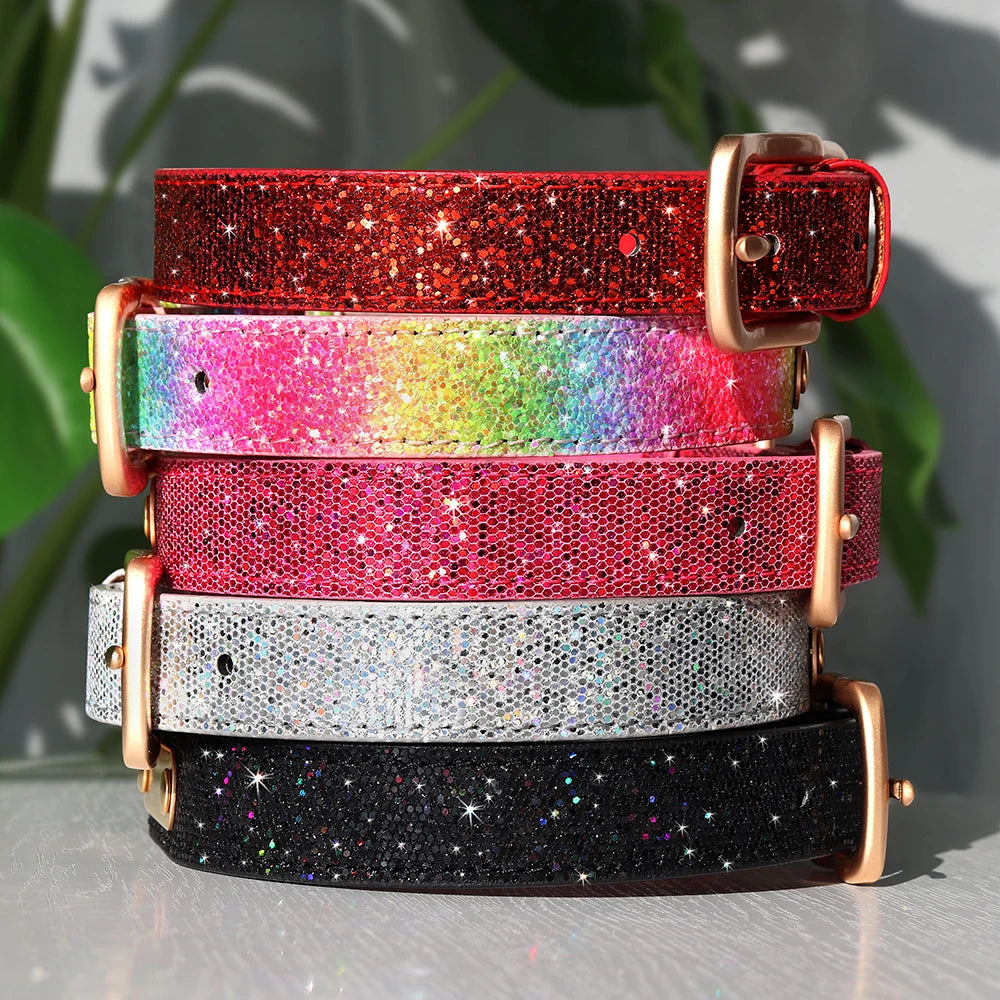 Collar VALLADOLID para gatos y perros