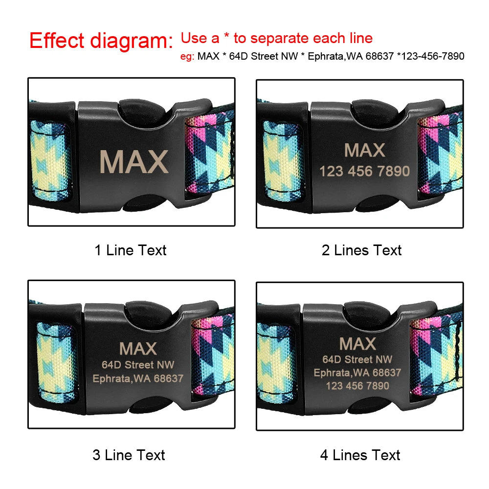 Collar ALTAMIRA con correa