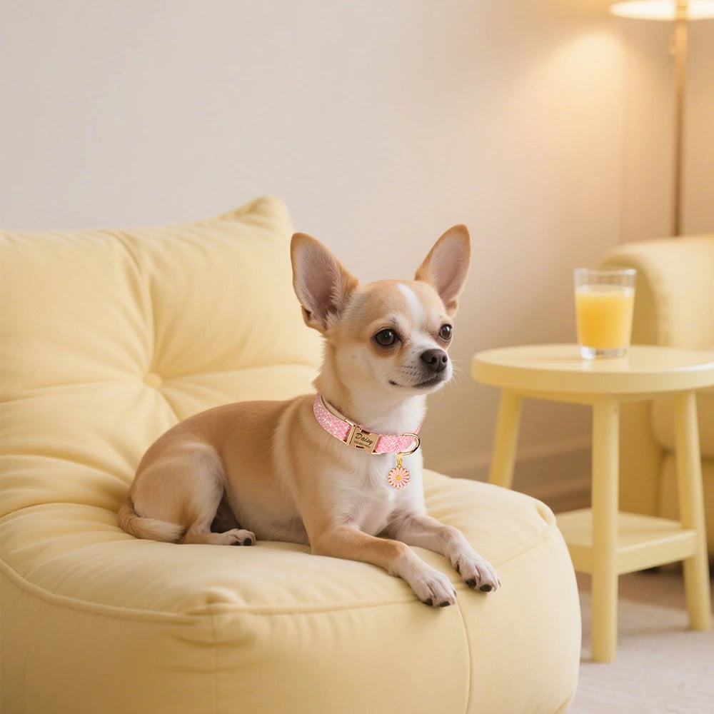 Collar BARRA DE NAVIDAD