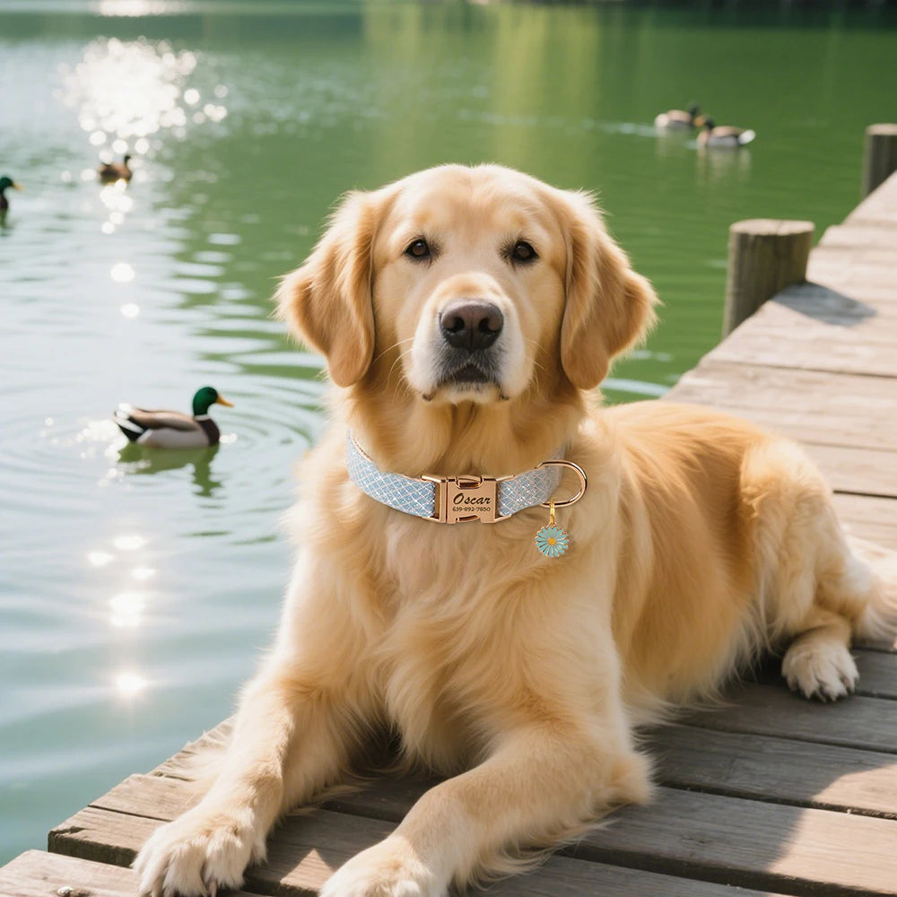 Collar BARRA DE NAVIDAD