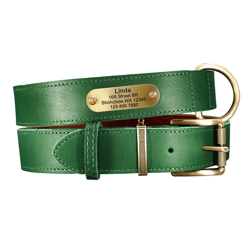 Collar QUERETARO con correa