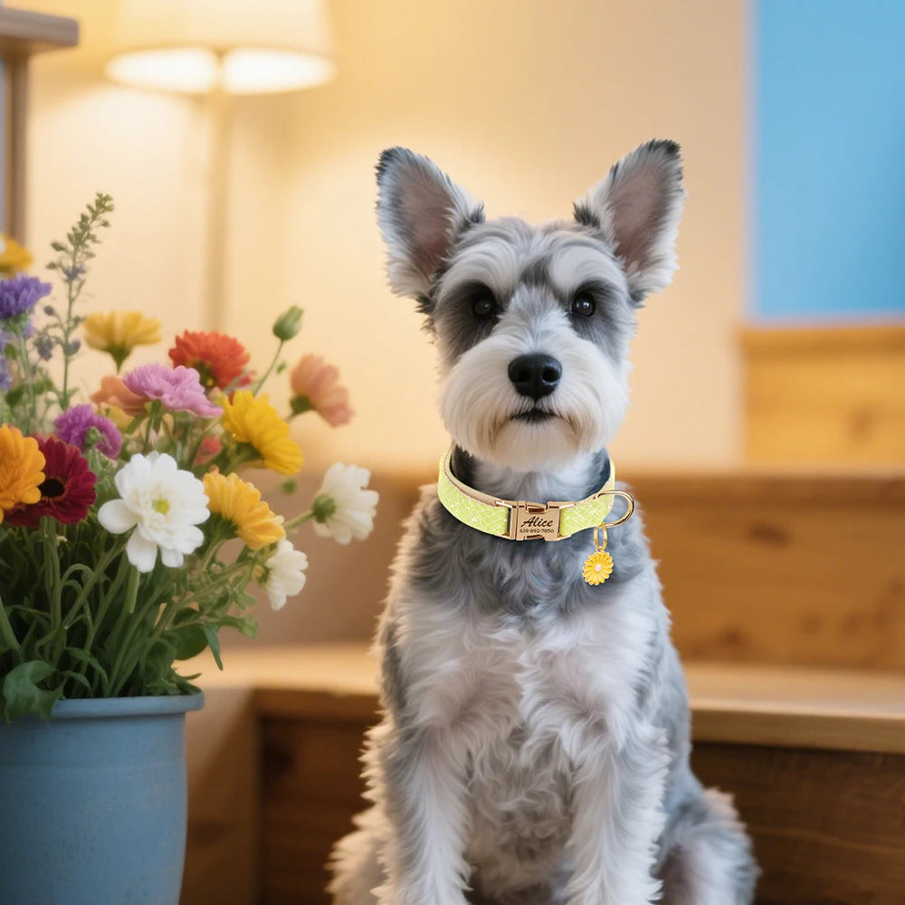 Collar BARRA DE NAVIDAD