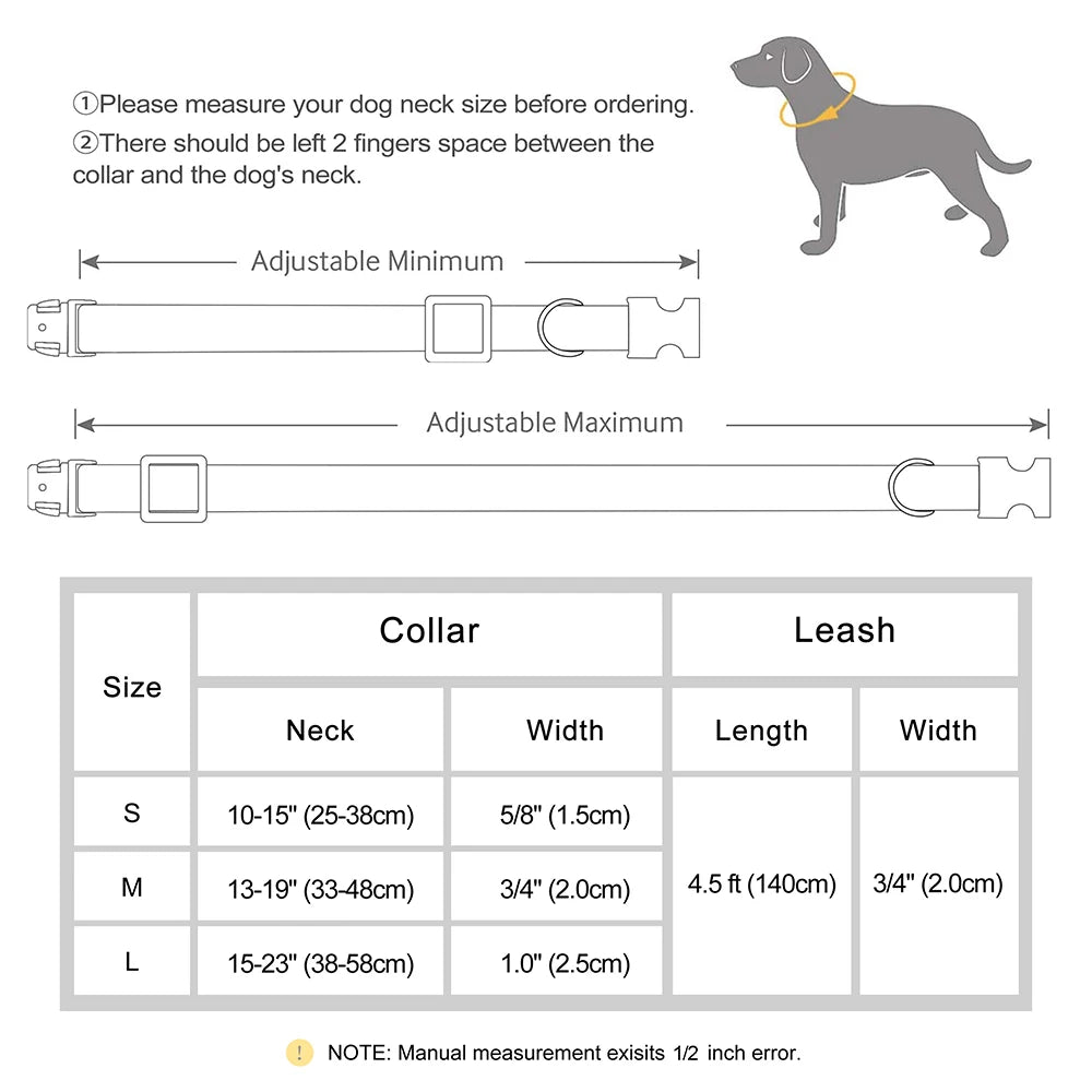 Collar VERACRUZ con collar