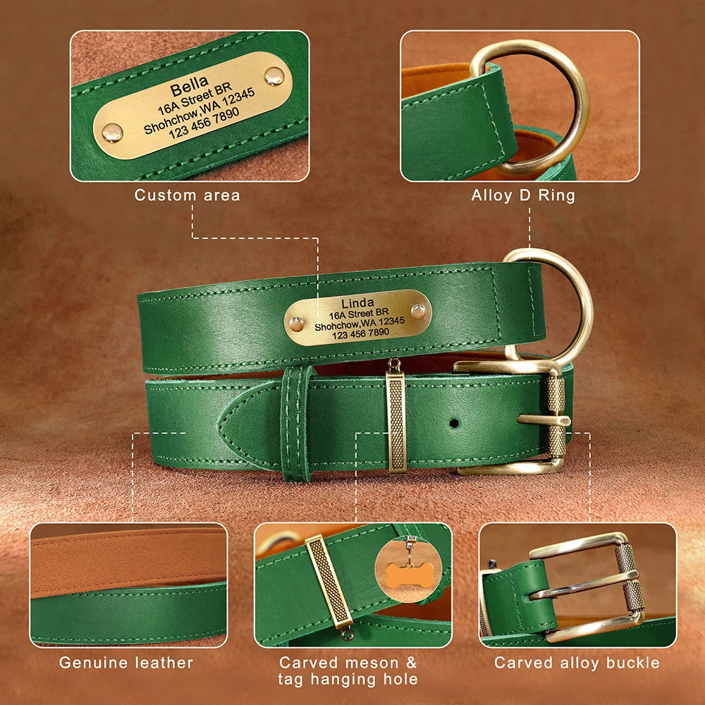 Collar QUERETARO con correa