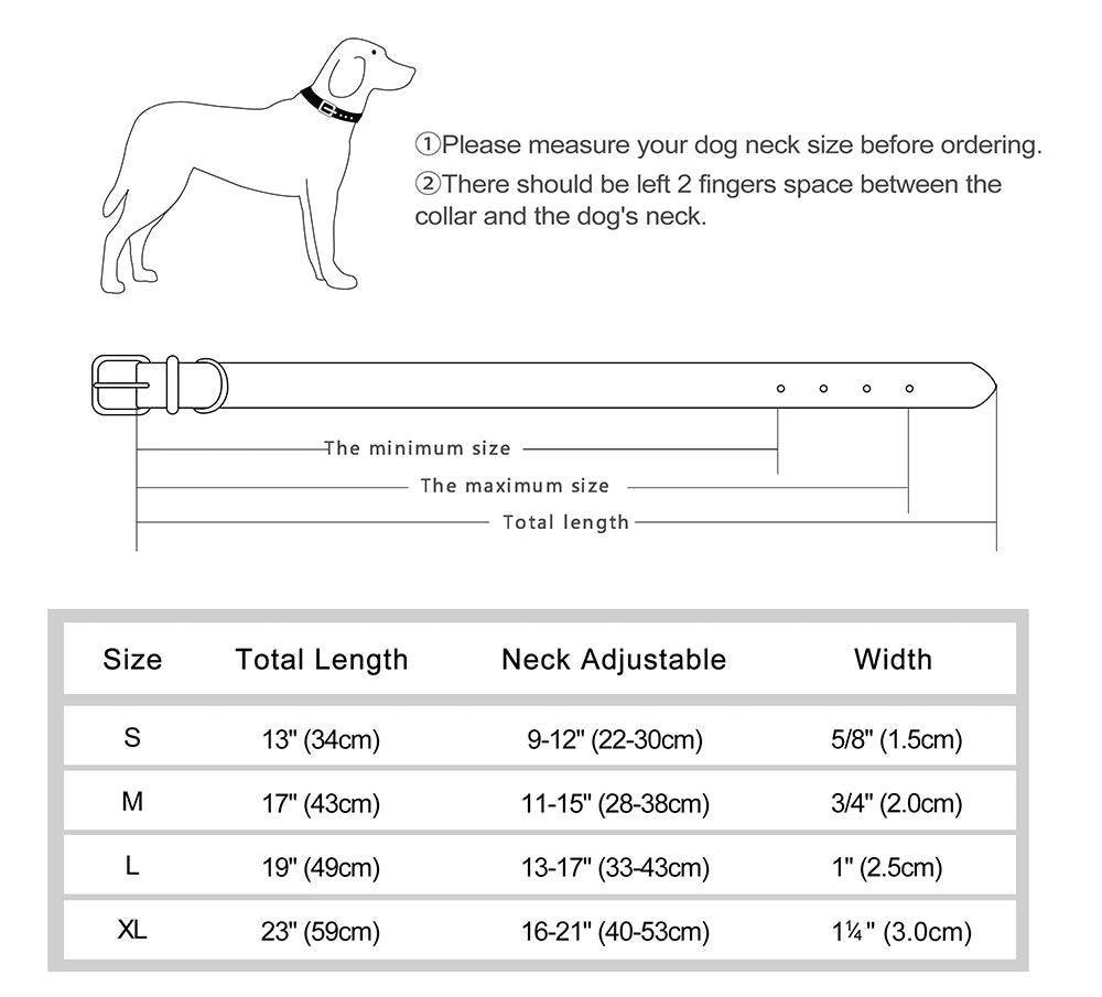 Collar PUEBLA con correa