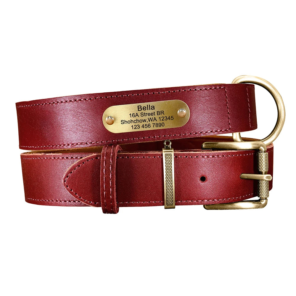 Collar QUERETARO con correa