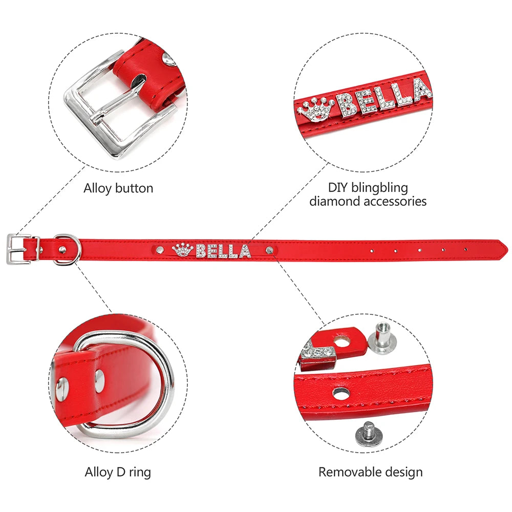 Collar Zihuanatejo con correa