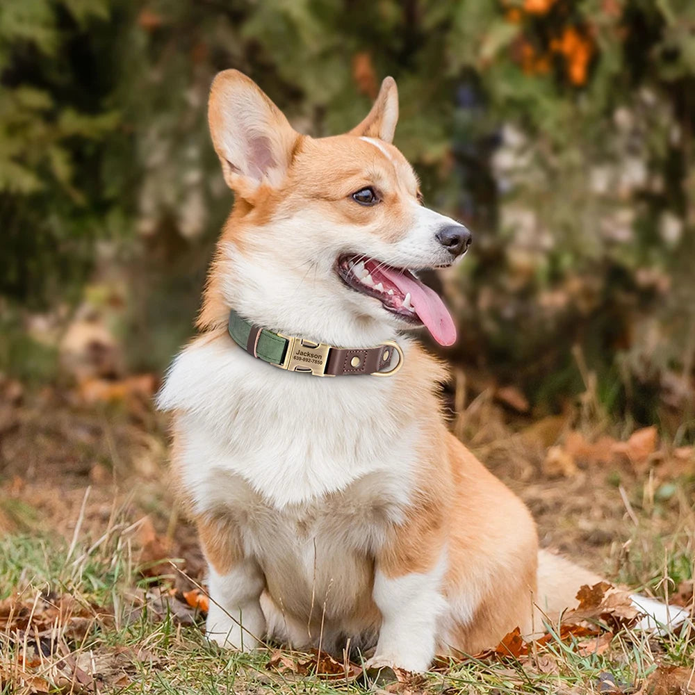 Collar VERACRUZ con collar