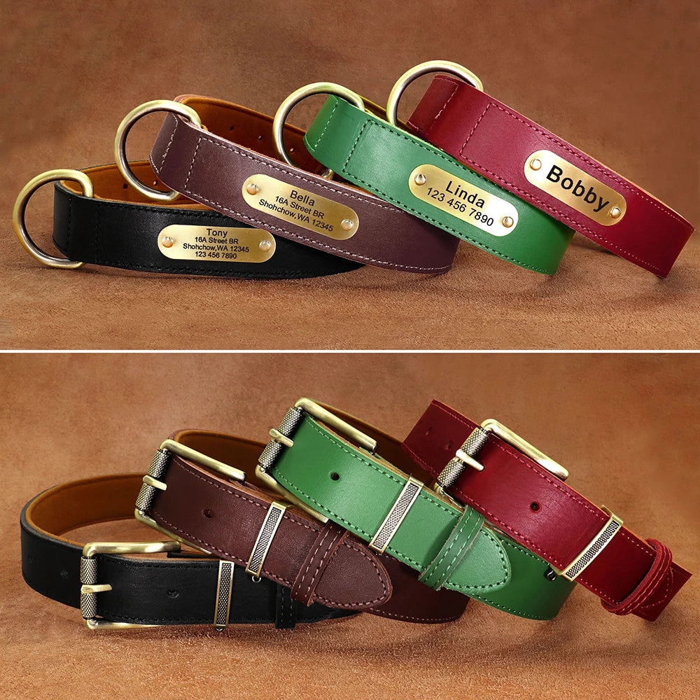 Collar QUERETARO con correa