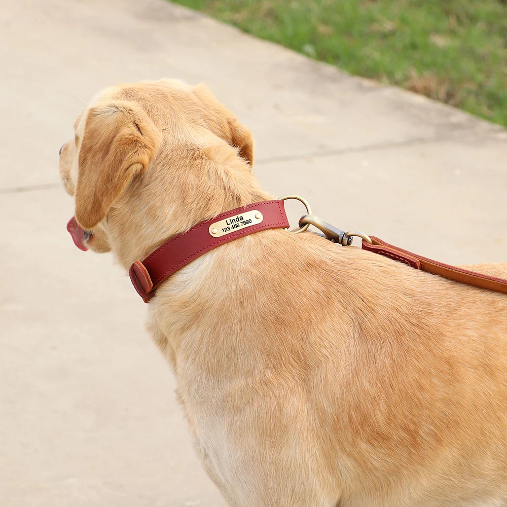 Collar QUERETARO con correa