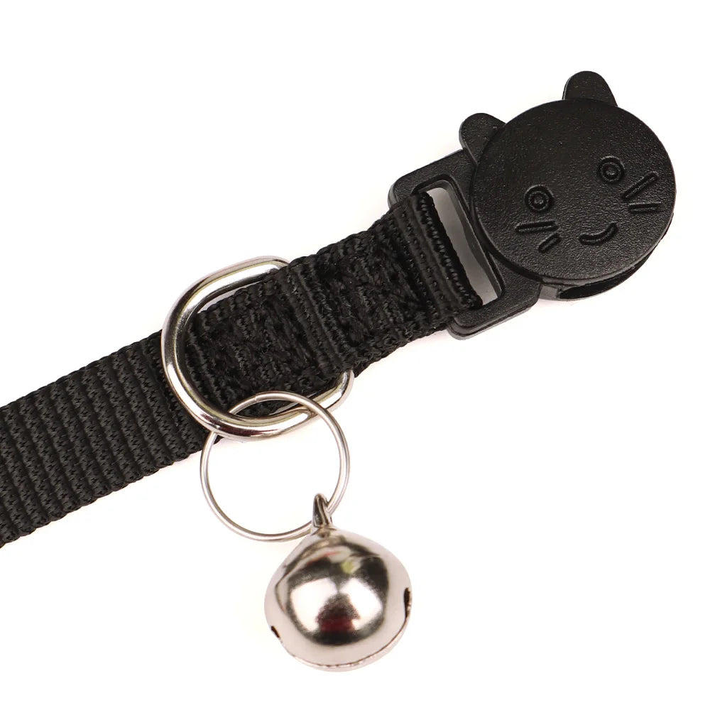 Collar SAN CRISTOBAL para gatos y cachorros