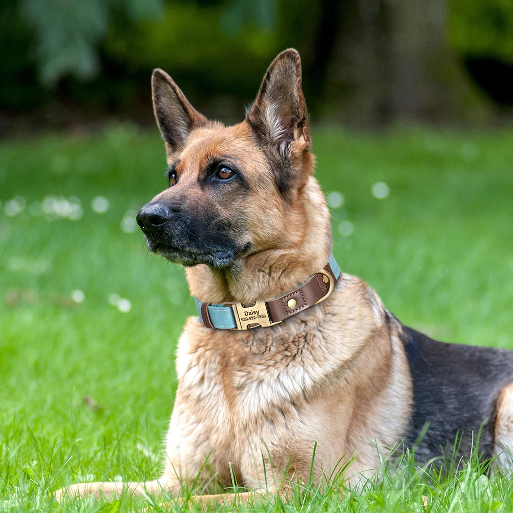 Collar VERACRUZ con collar