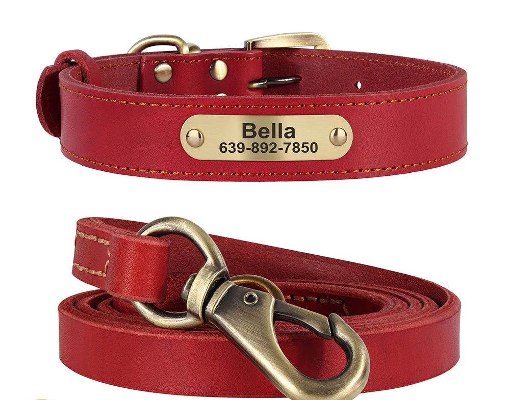 Collar CUERNAVACA con correa