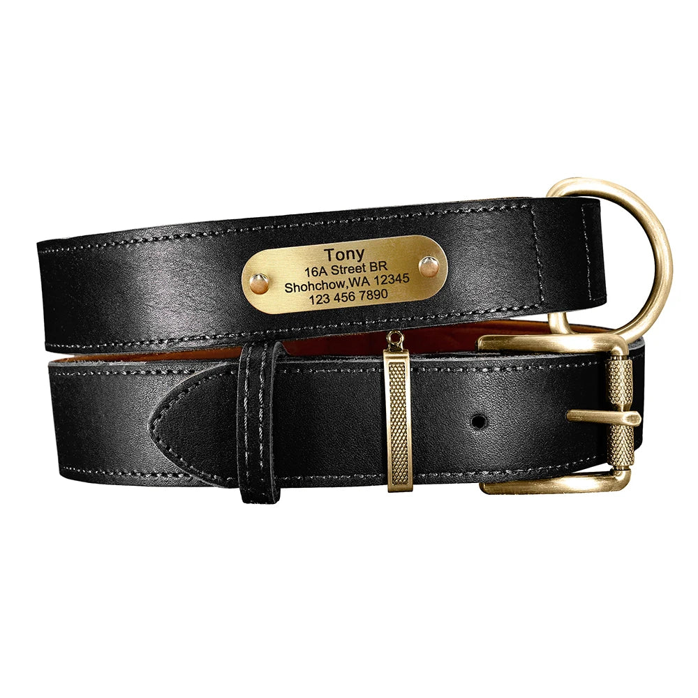 Collar QUERETARO con correa