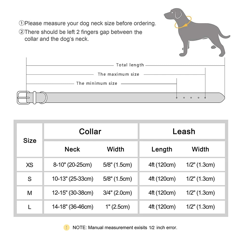 Collar Zihuanatejo con correa