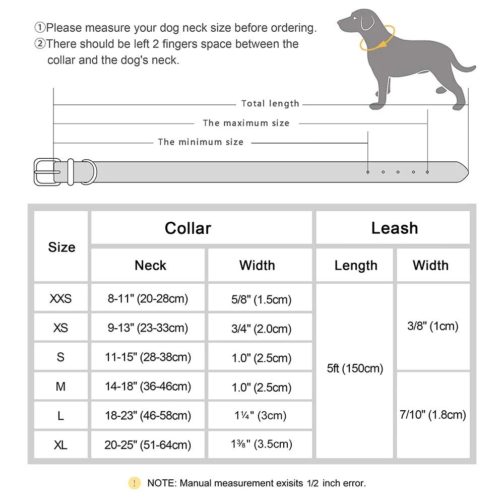 Collar CUERNAVACA con correa