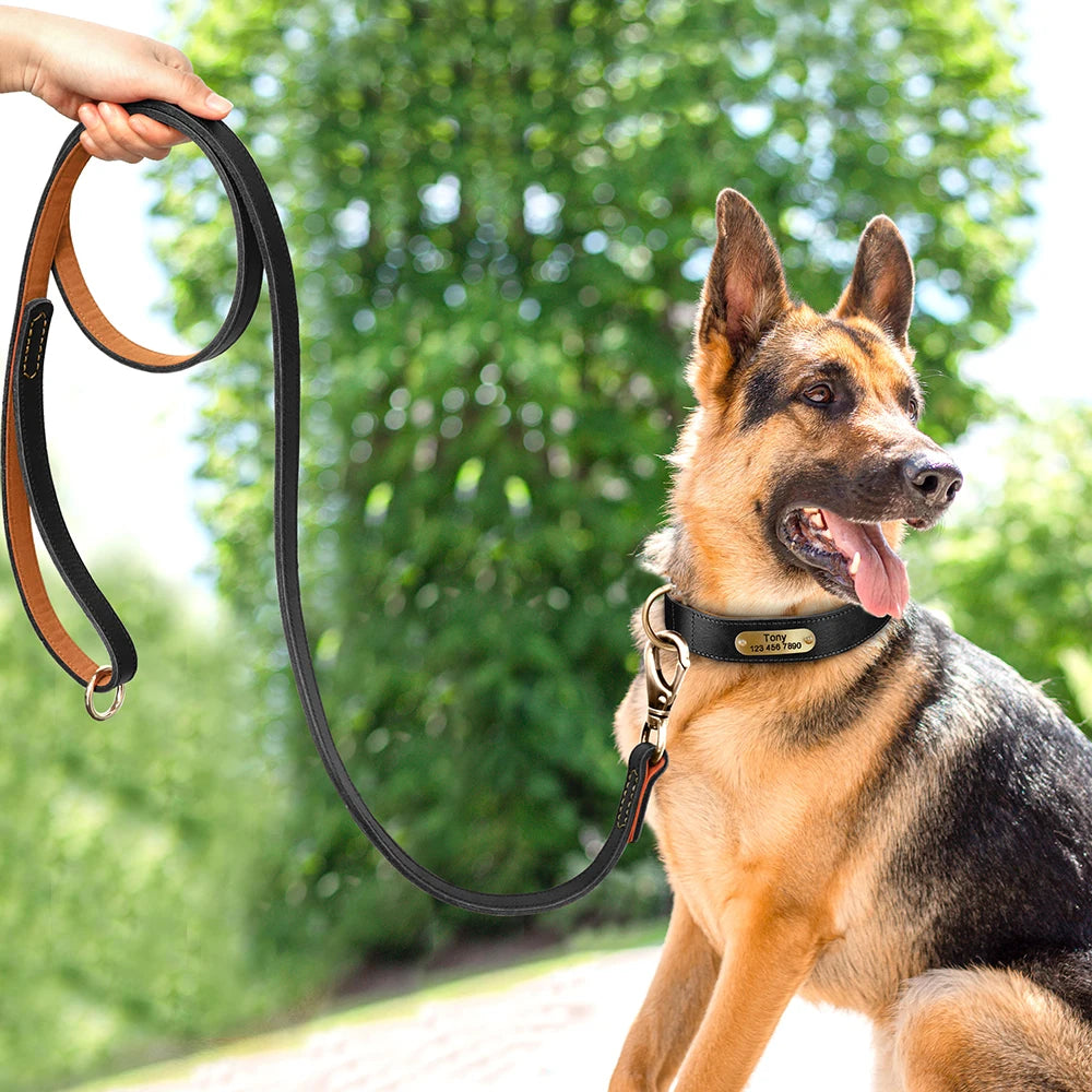 Collar QUERETARO con correa