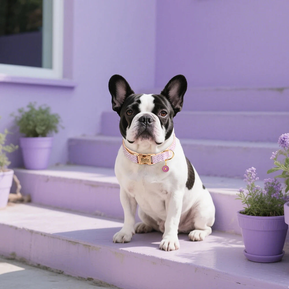 Collar BARRA DE NAVIDAD
