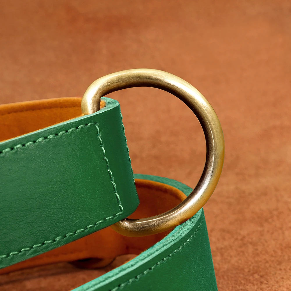 Collar QUERETARO con correa