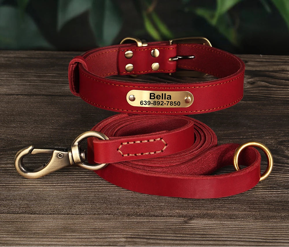 Collar CUERNAVACA con correa