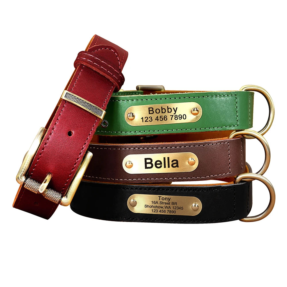 Collar QUERETARO con correa