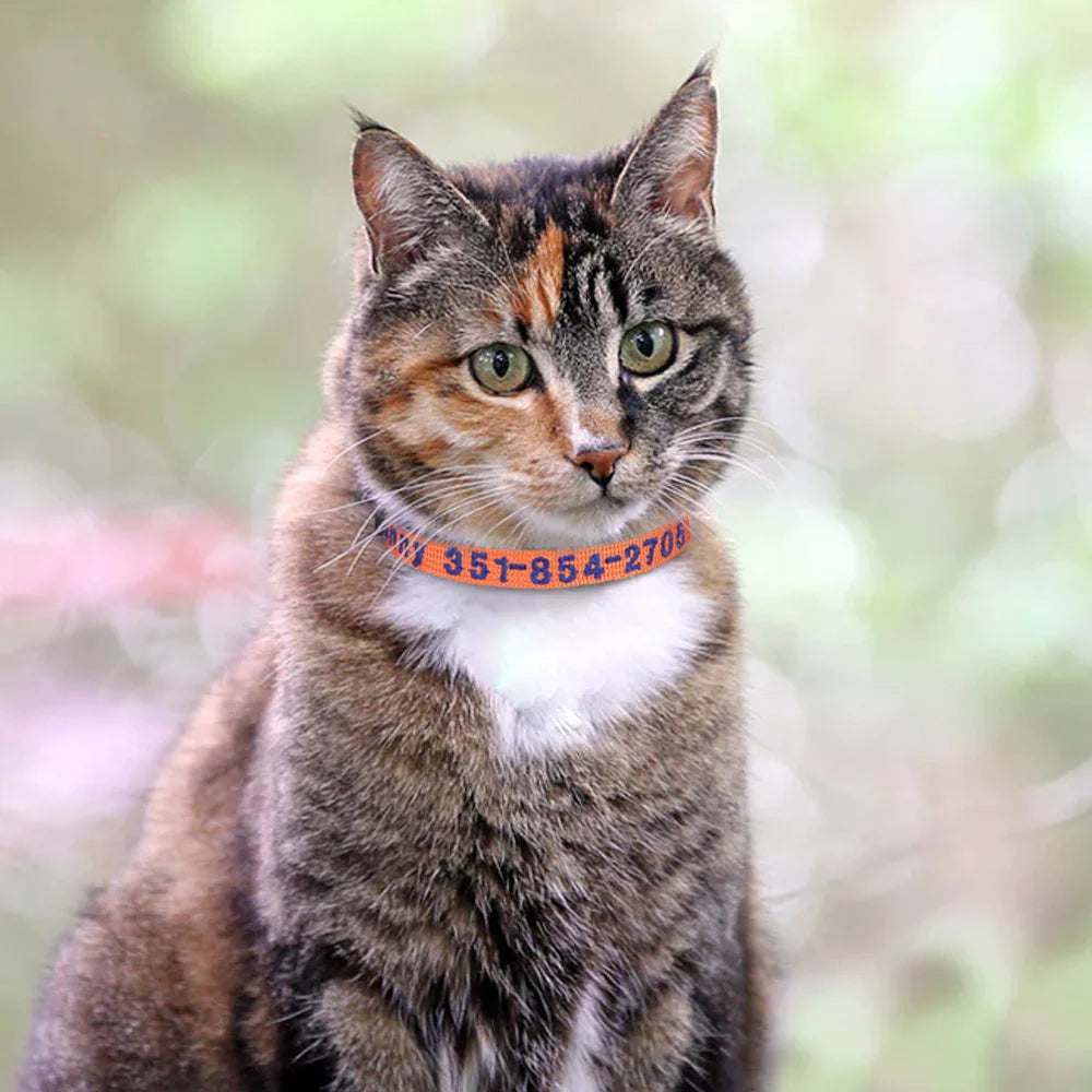 Collar SAN CRISTOBAL para gatos y cachorros