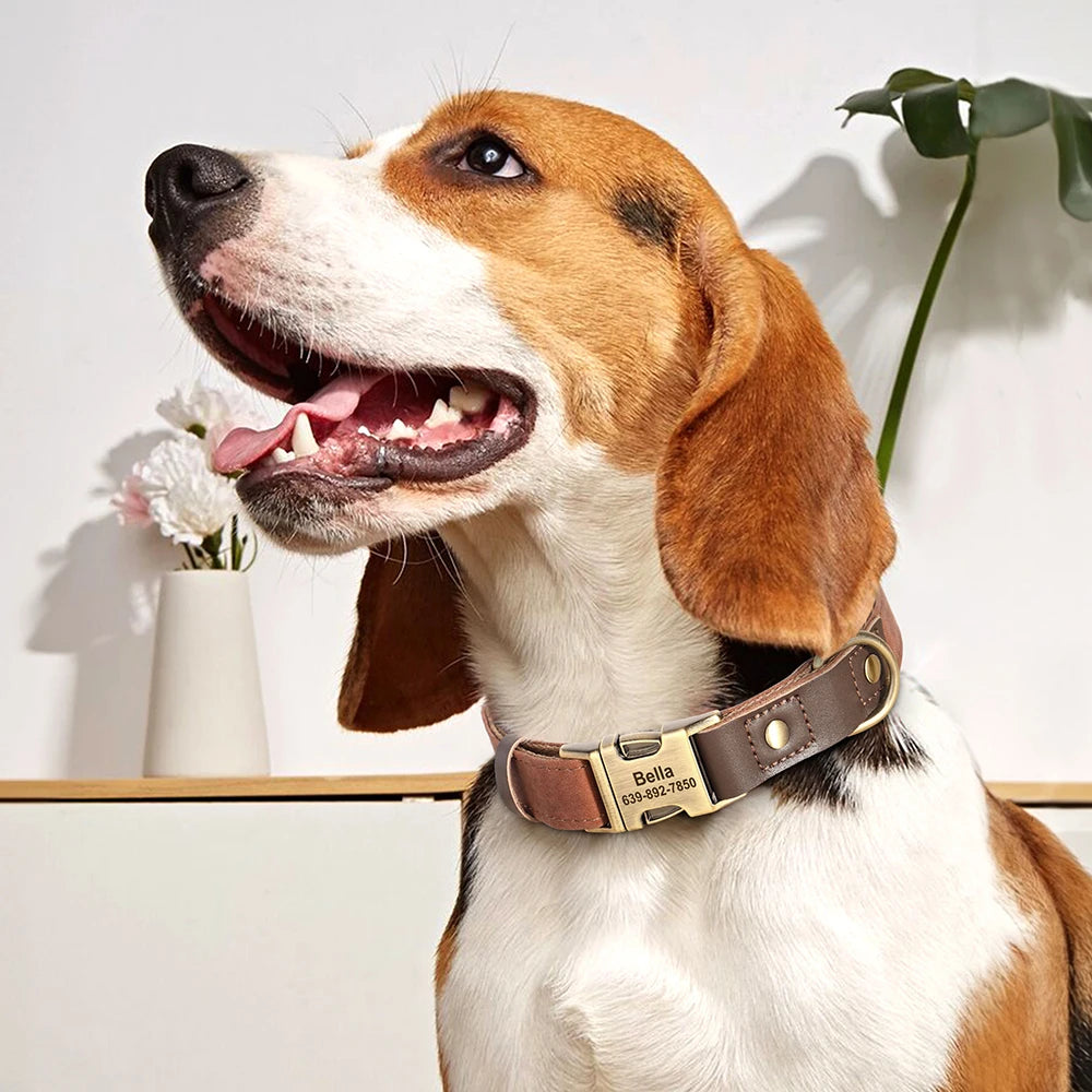 Collar VERACRUZ con collar