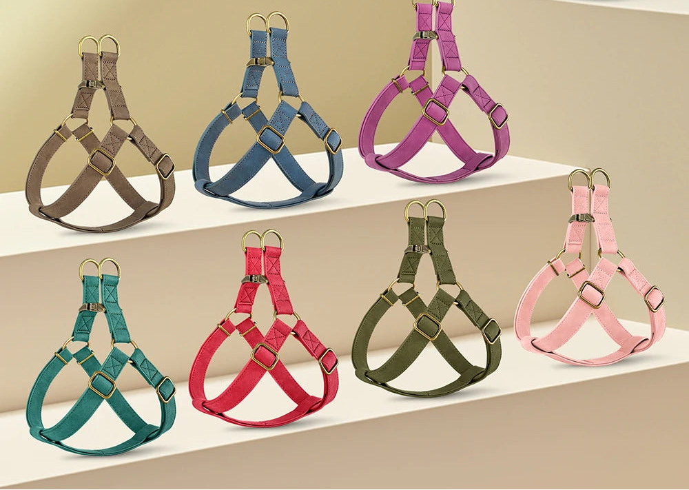 Arnés CONDESA personalizado