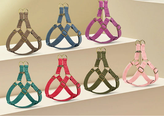 Arnés CONDESA personalizado