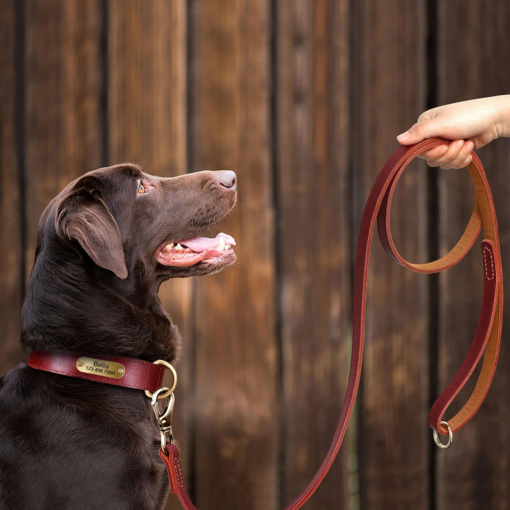Collar QUERETARO con correa