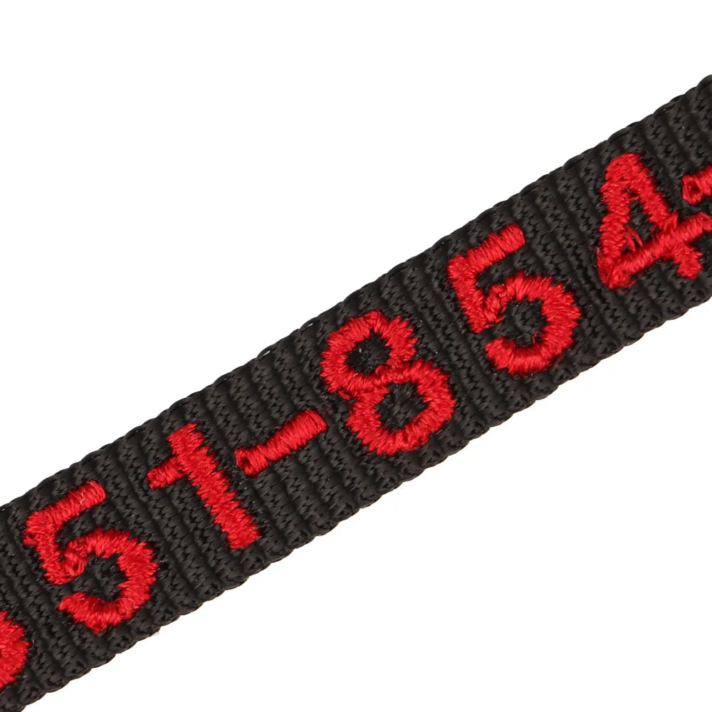 Collar SAN CRISTOBAL para gatos y cachorros