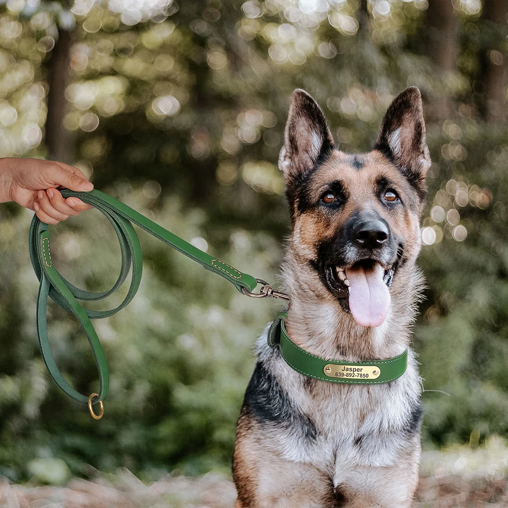 Collar CUERNAVACA con correa