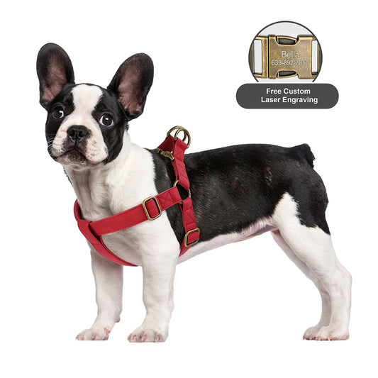 Arnés CONDESA personalizado