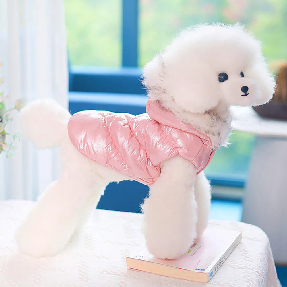 Sudadera Cálida con Capucha para Invierno 100% Algodón